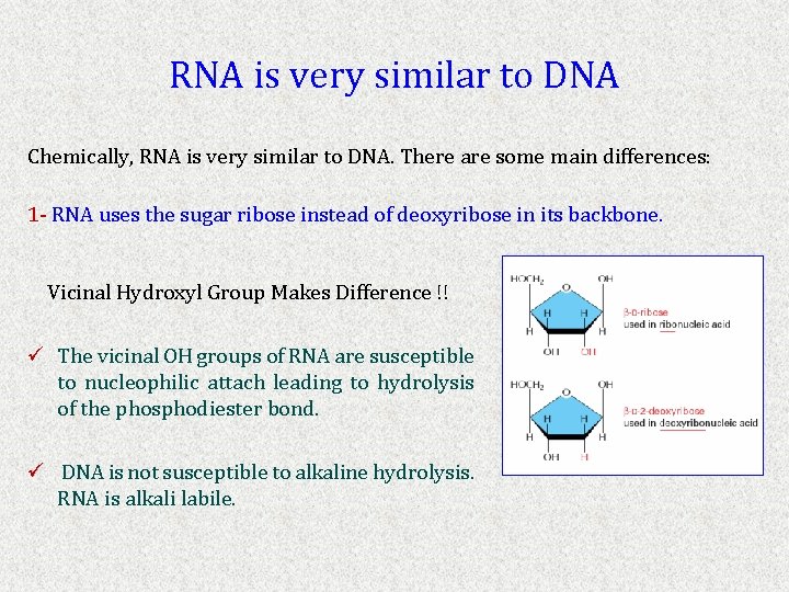 RNA is very similar to DNA Chemically, RNA is very similar to DNA. There