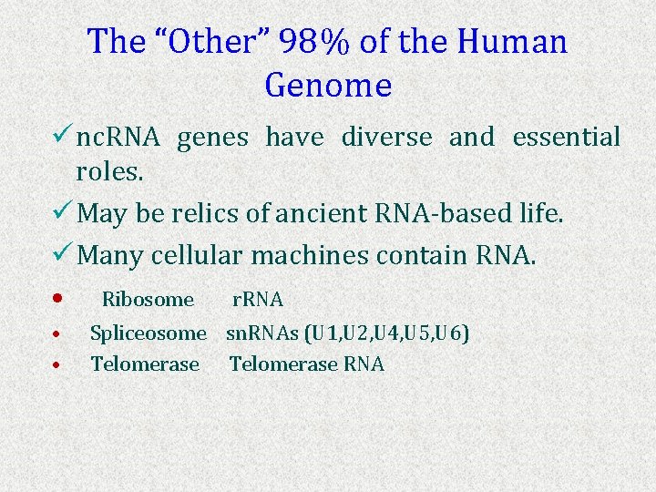 The “Other” 98% of the Human Genome ü nc. RNA genes have diverse and
