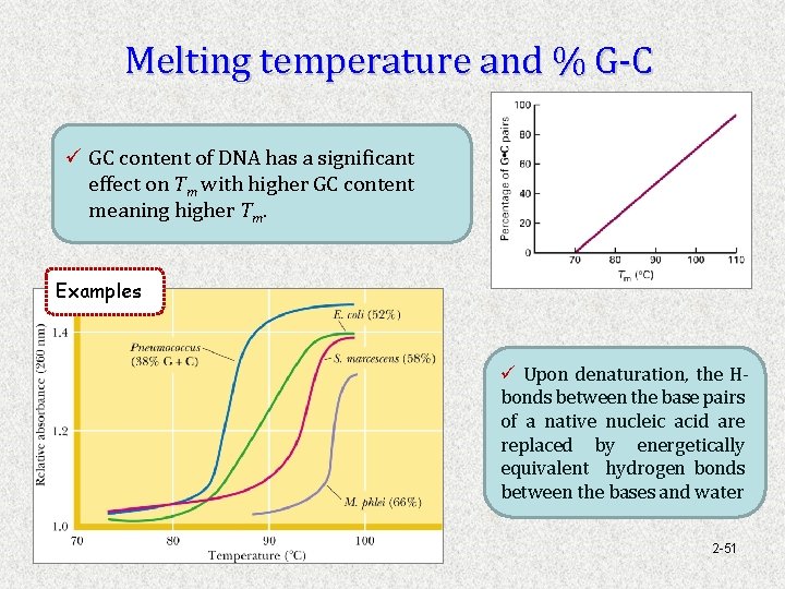 Melting temperature and % G-C ü GC content of DNA has a significant effect