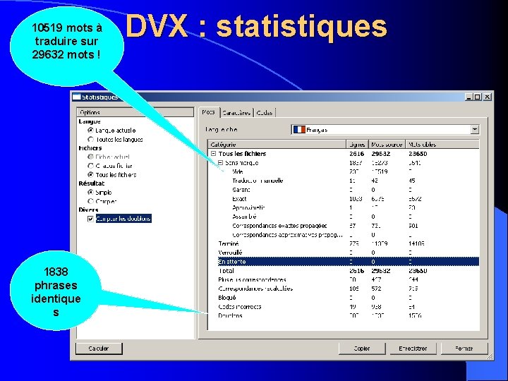 10519 mots à traduire sur 29632 mots ! 1838 phrases identique s DVX :