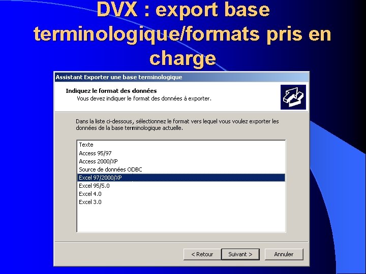 DVX : export base terminologique/formats pris en charge 