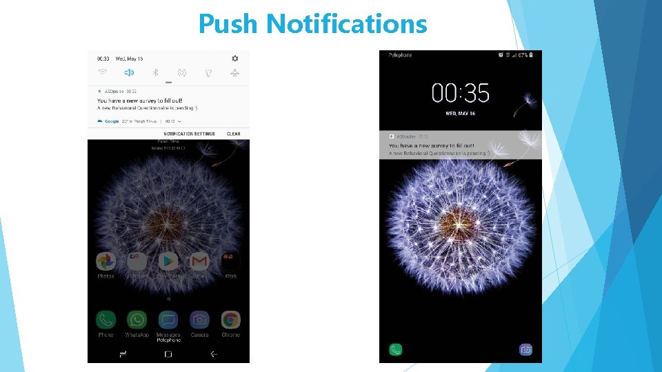 Push Notifications 