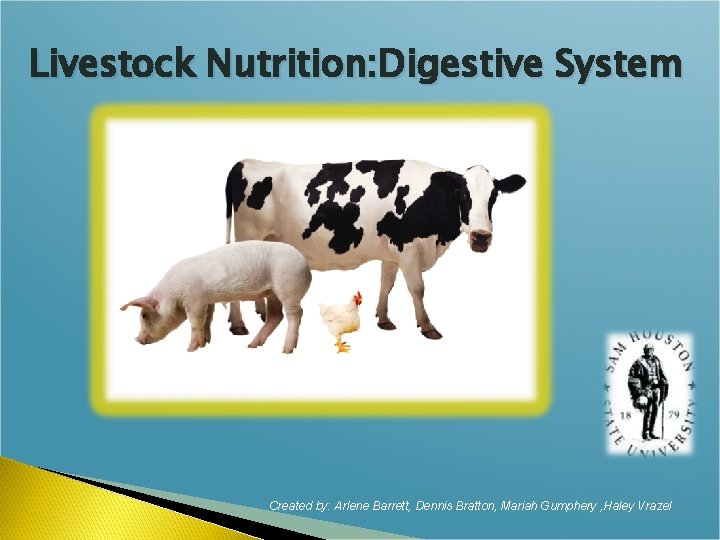 Livestock Nutrition: Digestive System Created by: Arlene Barrett, Dennis Bratton, Mariah Gumphery , Haley