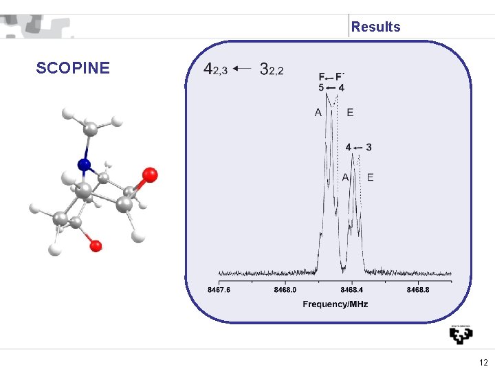 Results SCOPINE 12 