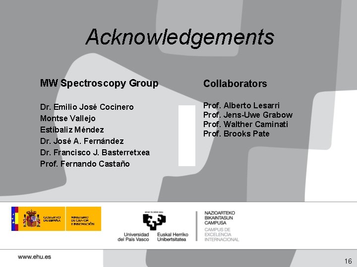 Acknowledgements MW Spectroscopy Group Collaborators Dr. Emilio José Cocinero Montse Vallejo Estíbaliz Méndez Dr.