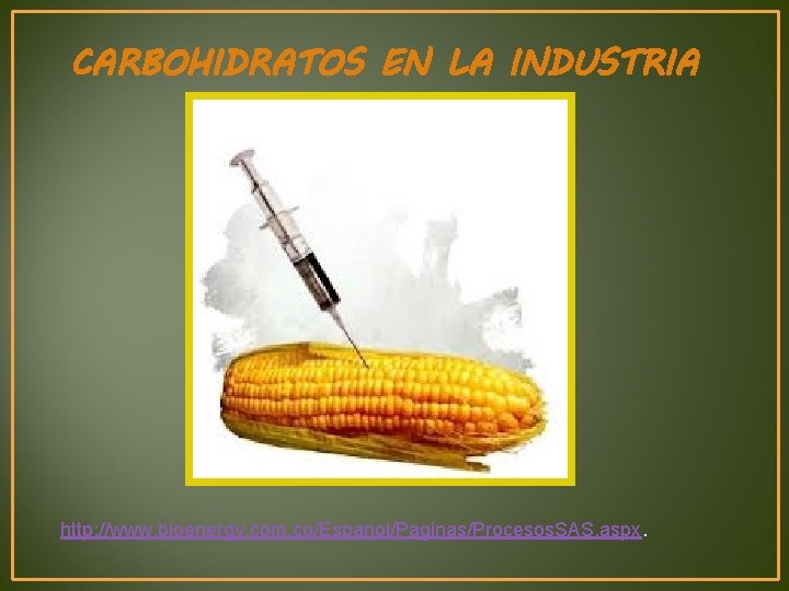 CARBOHIDRATOS EN LA INDUSTRIA http: //www. bioenergy. com. co/Espanol/Paginas/Procesos. SAS. aspx. 