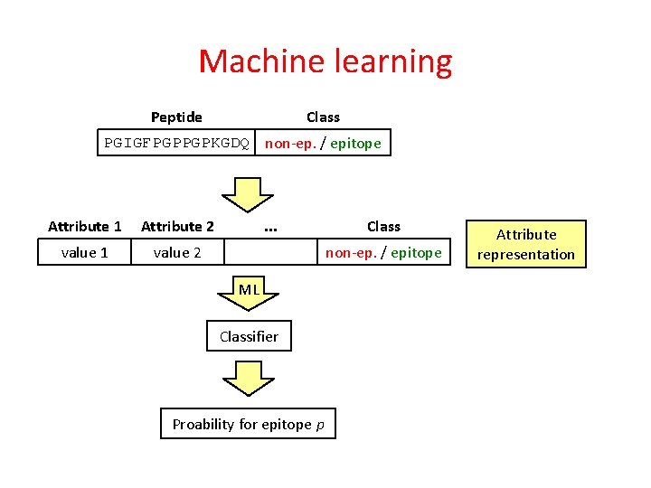 Machine learning Class Peptide PGIGFPGPPGPKGDQ non-ep. / epitope Attribute 1 Attribute 2 value 1