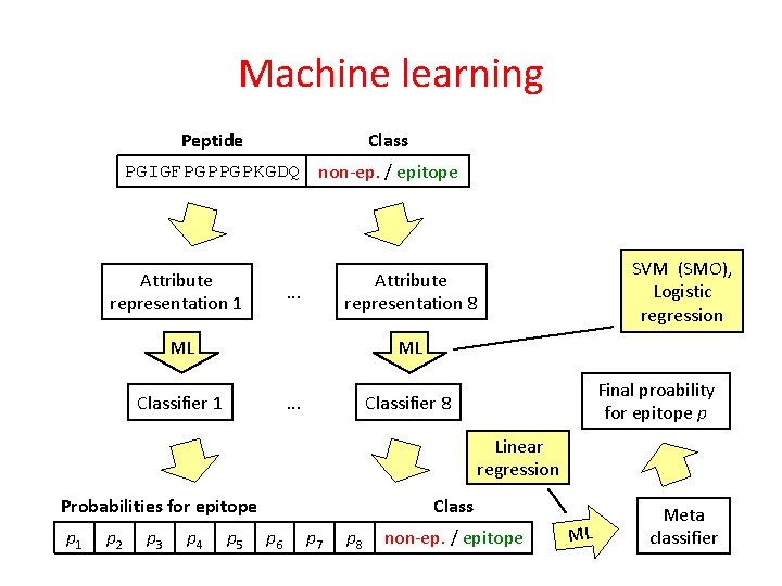 Machine learning Class Peptide PGIGFPGPPGPKGDQ non-ep. / epitope Attribute representation 1 SVM (SMO), Logistic
