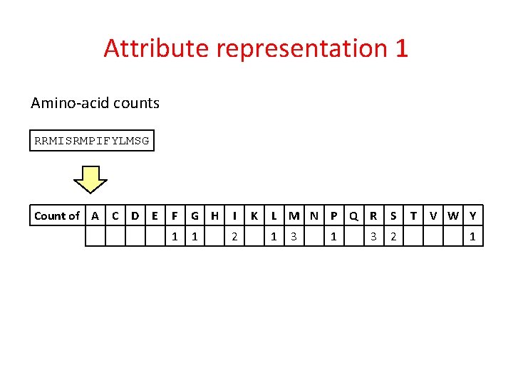 Attribute representation 1 Amino-acid counts RRMISRMPIFYLMSG Count of A C D E F G