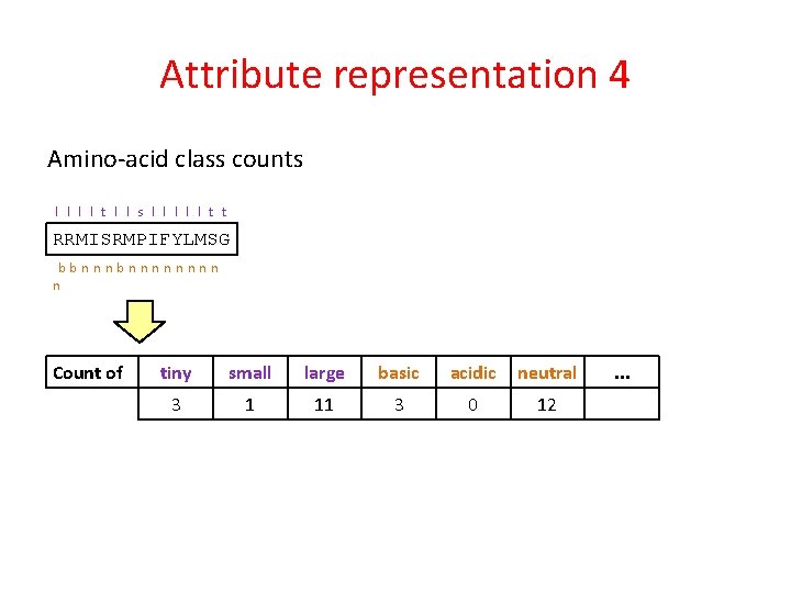 Attribute representation 4 Amino-acid class counts l l t l l s l l