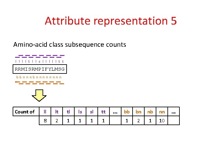 Attribute representation 5 Amino-acid class subsequence counts l l t l l s l