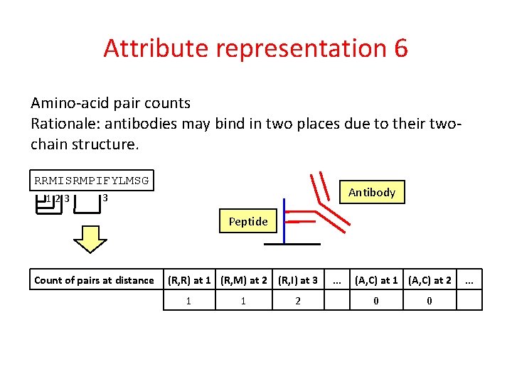 Attribute representation 6 Amino-acid pair counts Rationale: antibodies may bind in two places due