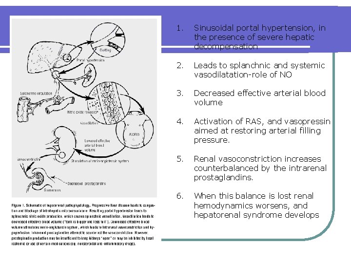 1. Sinusoidal portal hypertension, in the presence of severe hepatic decompensation 2. Leads to