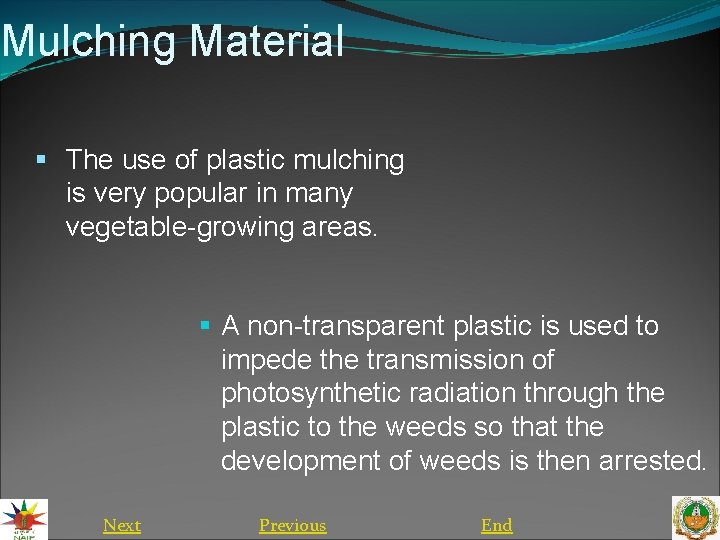 Mulching Material § The use of plastic mulching is very popular in many vegetable-growing