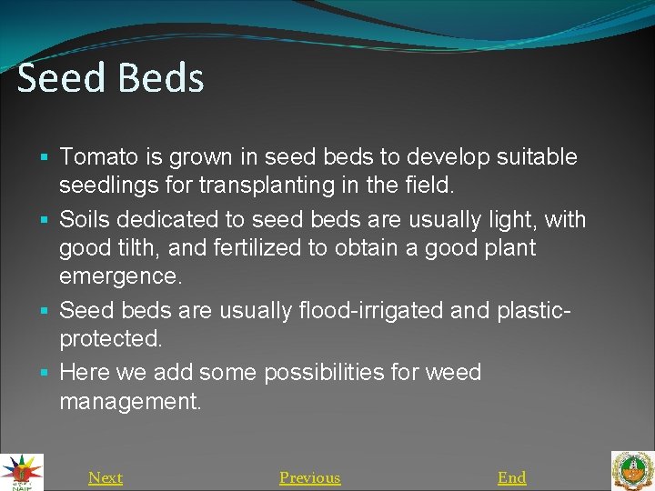 Seed Beds § Tomato is grown in seed beds to develop suitable seedlings for