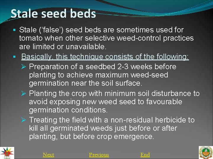 Stale seed beds § Stale (‘false’) seed beds are sometimes used for tomato when