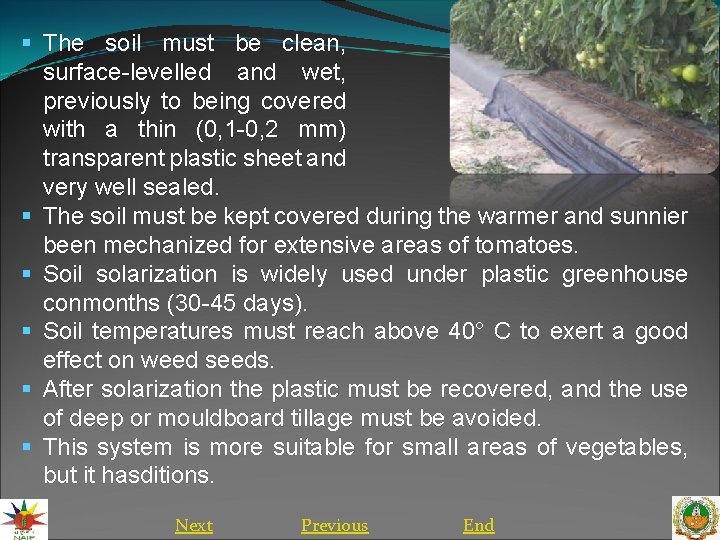 § The soil must be clean, surface-levelled and wet, previously to being covered with