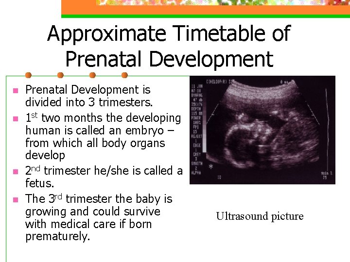 Approximate Timetable of Prenatal Development n n Prenatal Development is divided into 3 trimesters.