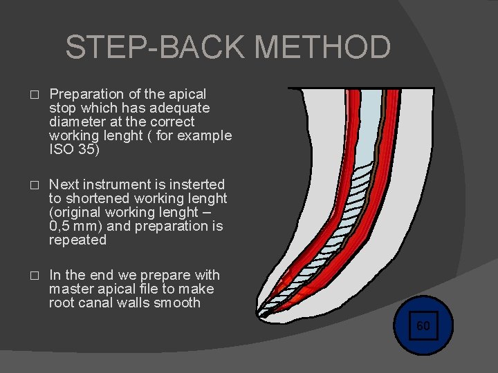 STEP-BACK METHOD � Preparation of the apical stop which has adequate diameter at the