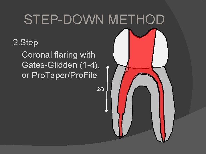 STEP-DOWN METHOD 2. Step Coronal flaring with Gates-Glidden (1 -4), or Pro. Taper/Pro. File