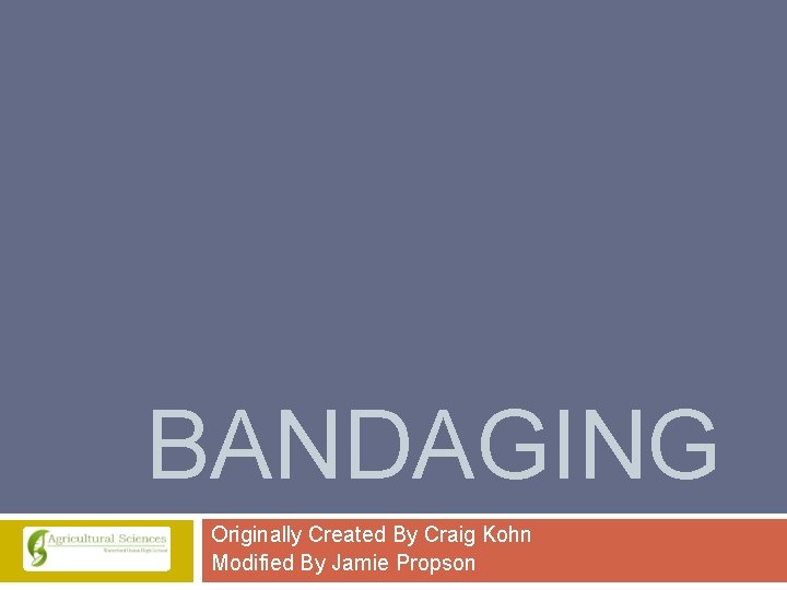 BANDAGING Originally Created By Craig Kohn Modified By Jamie Propson 