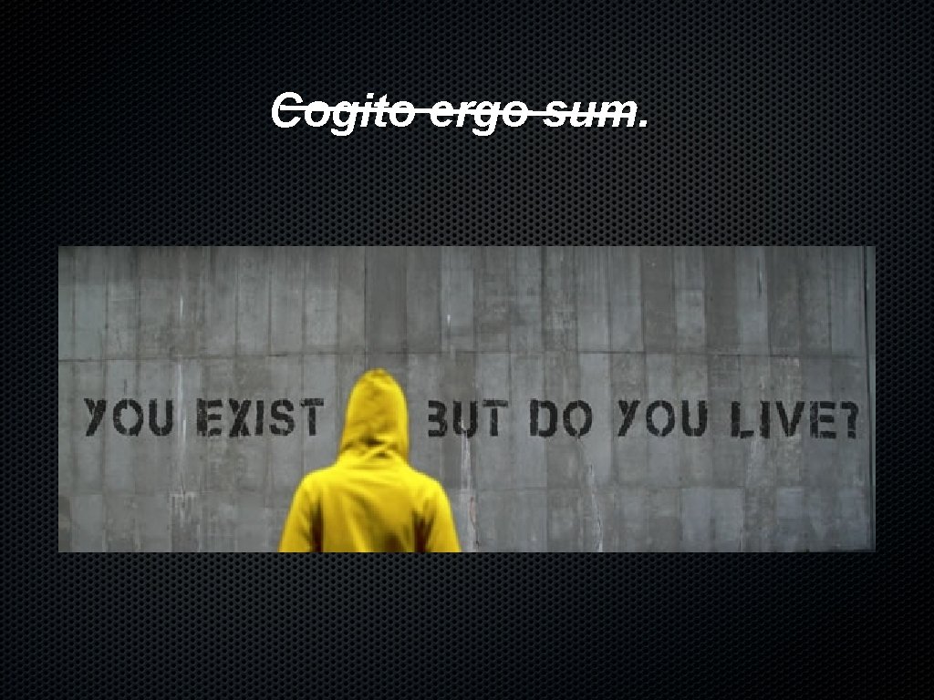 Cogito ergo sum. 