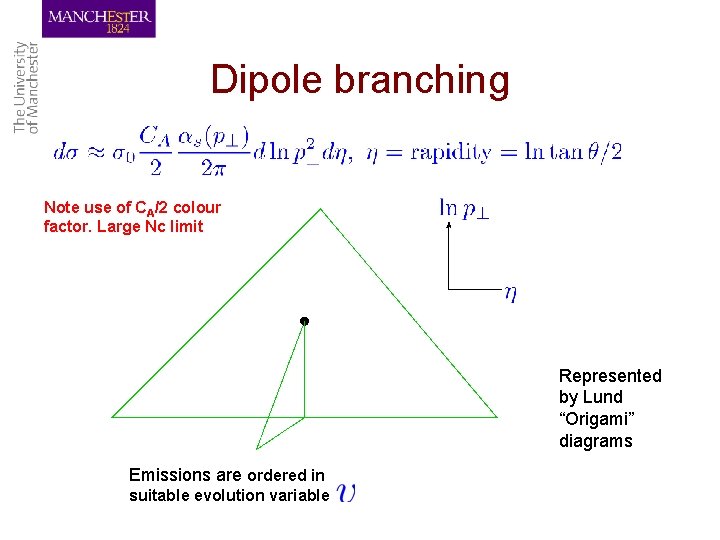 Dipole branching Note use of CA/2 colour factor. Large Nc limit Represented by Lund