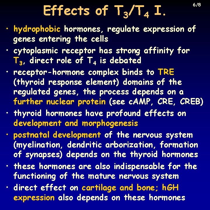 Effects of T 3/T 4 I. 6/8 • hydrophobic hormones, regulate expression of genes