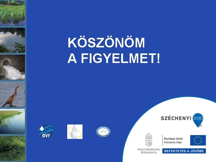 KÖSZÖNÖM A FIGYELMET! 