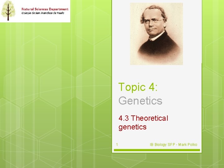 Topic 4: Genetics 4. 3 Theoretical genetics 1 IB Biology SFP - Mark Polko