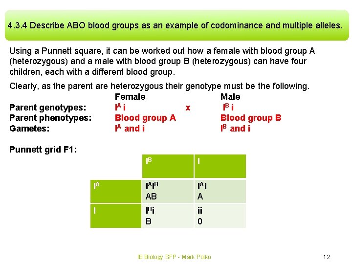 4. 3. 4 Describe ABO blood groups as an example of codominance and multiple