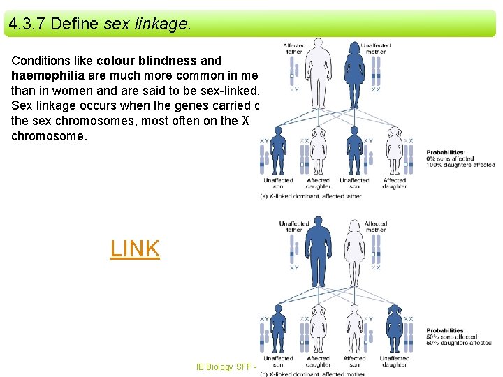 4. 3. 7 Define sex linkage. Conditions like colour blindness and haemophilia are much