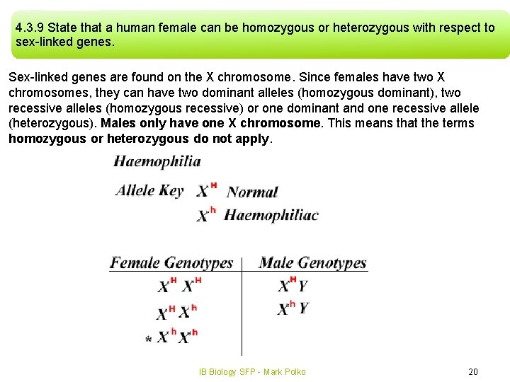 4. 3. 9 State that a human female can be homozygous or heterozygous with