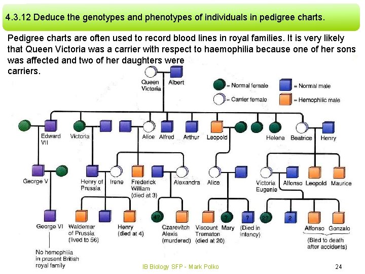 4. 3. 12 Deduce the genotypes and phenotypes of individuals in pedigree charts. Pedigree