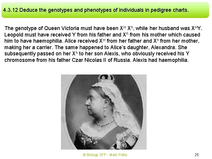 4. 3. 12 Deduce the genotypes and phenotypes of individuals in pedigree charts. The