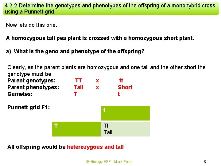 4. 3. 2 Determine the genotypes and phenotypes of the offspring of a monohybrid