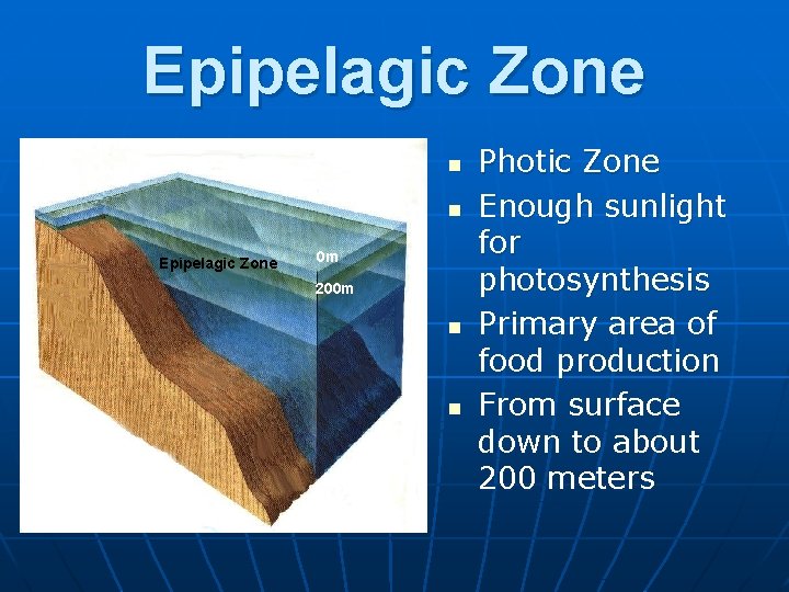 Epipelagic Zone n n Epipelagic Zone Sunlight Zone 0 m 200 m Photic Zone