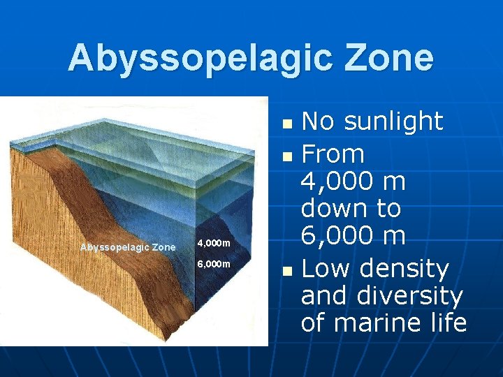 Abyssopelagic Zone No sunlight n From 4, 000 m down to 6, 000 m