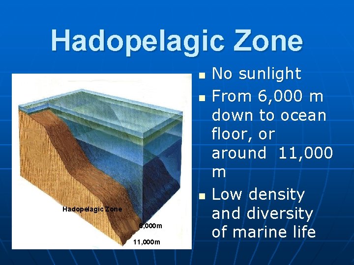 Hadopelagic Zone n n n Hadopelagic Zone 6, 000 m 11, 000 m No