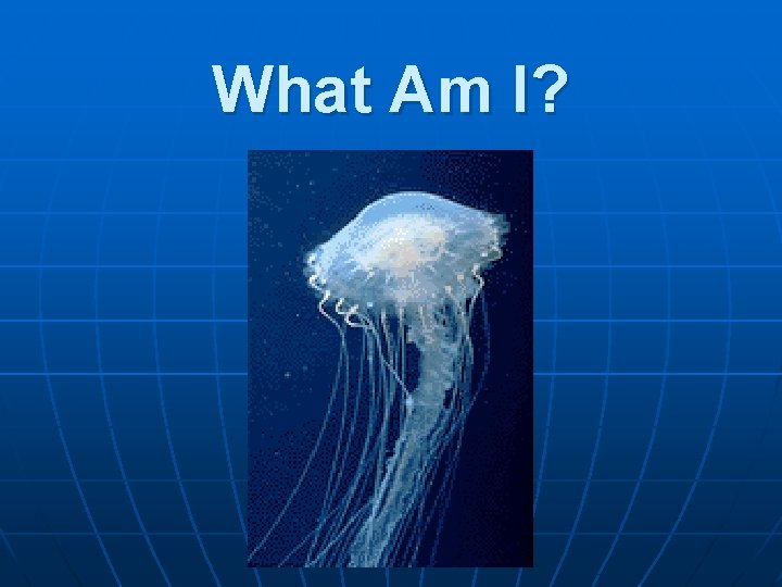 What Am I? 