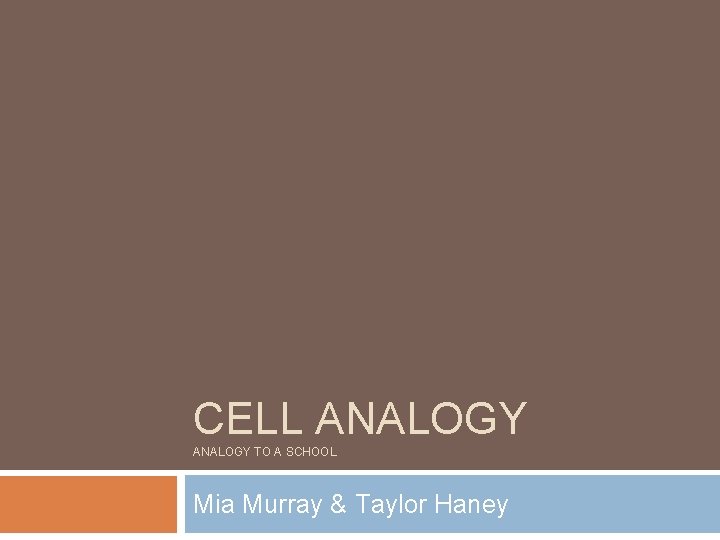 CELL ANALOGY TO A SCHOOL Mia Murray & Taylor Haney 