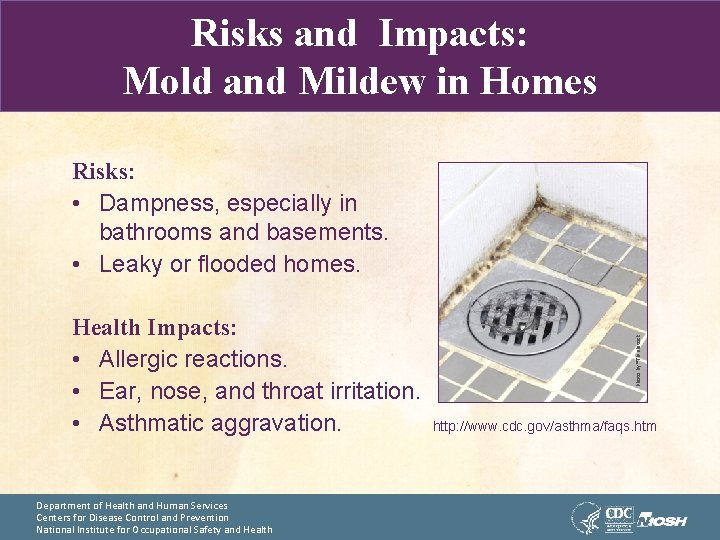 Risks and Impacts: Mold and Mildew in Homes Health Impacts: • Allergic reactions. •