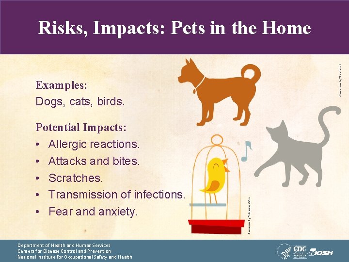 Illustrations by ®Thinkstock Risks, Impacts: Pets in the Home Potential Impacts: • Allergic reactions.