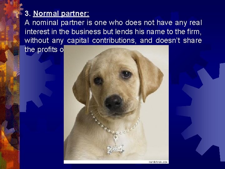 3. Normal partner: A nominal partner is one who does not have any real
