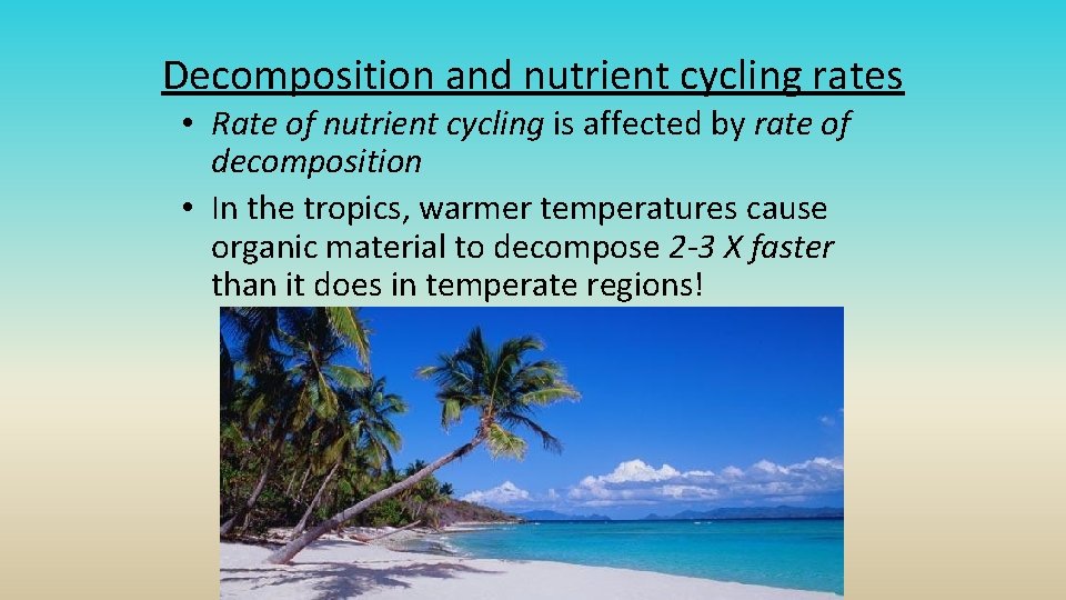 Decomposition and nutrient cycling rates • Rate of nutrient cycling is affected by rate