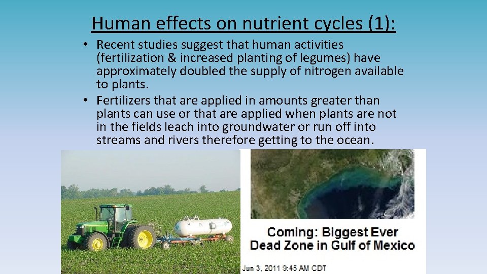 Human effects on nutrient cycles (1): • Recent studies suggest that human activities (fertilization