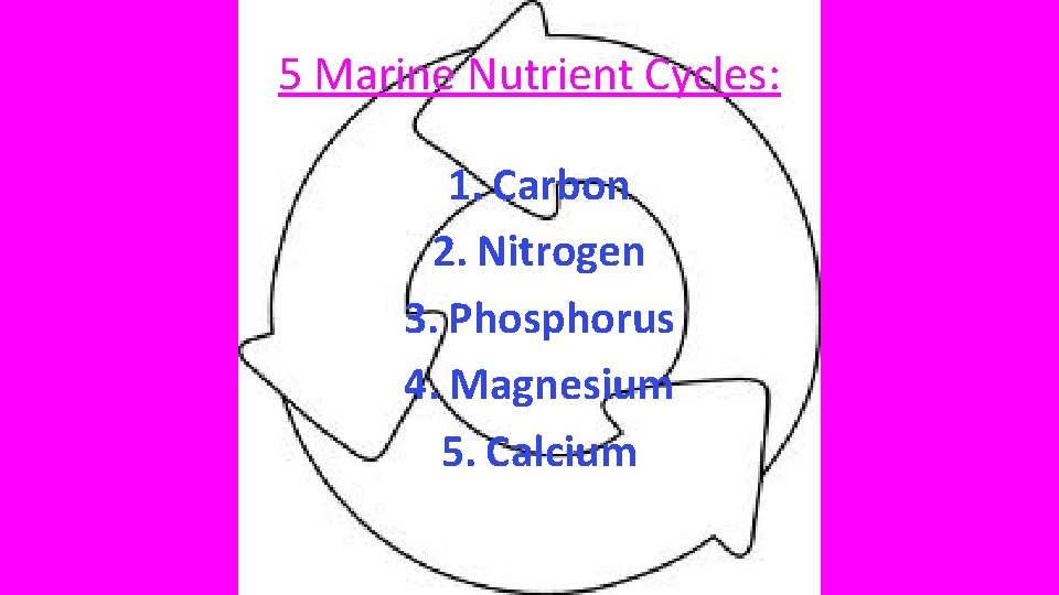 5 Marine Nutrient Cycles: 1. Carbon 2. Nitrogen 3. Phosphorus 4. Magnesium 5. Calcium