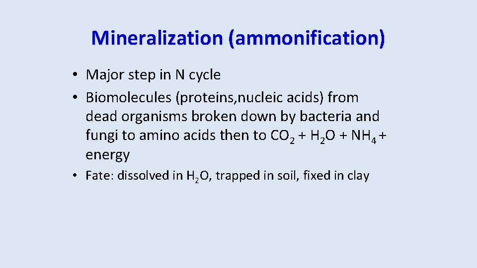 Mineralization (ammonification) • Major step in N cycle • Biomolecules (proteins, nucleic acids) from
