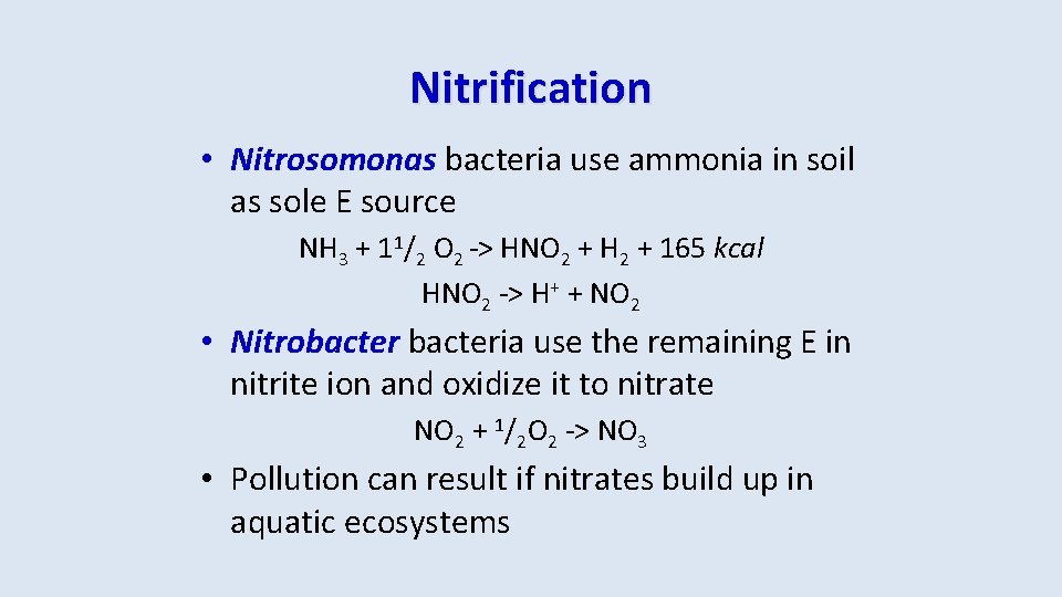 Nitrification • Nitrosomonas bacteria use ammonia in soil as sole E source NH 3