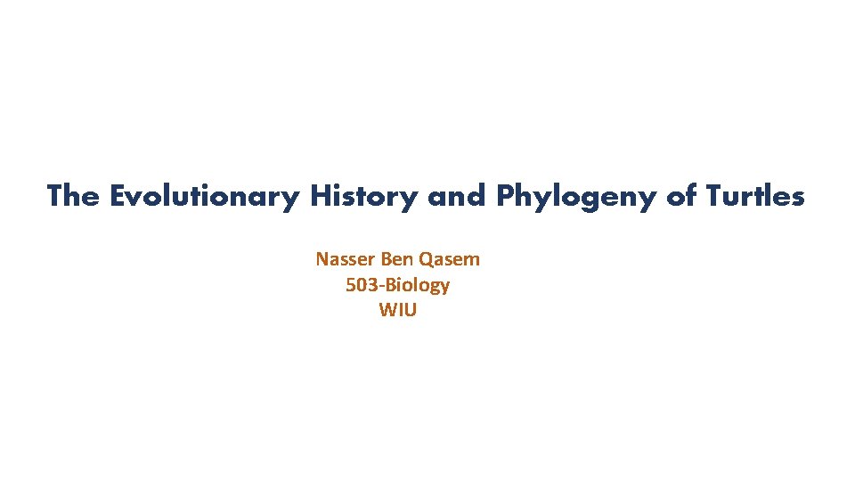 The Evolutionary History and Phylogeny of Turtles Nasser Ben Qasem 503 -Biology WIU 